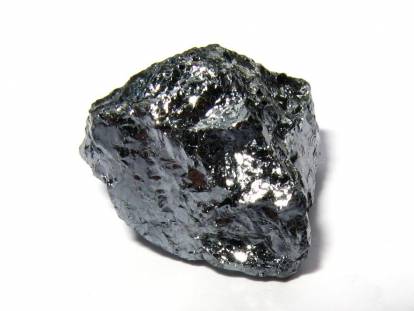 Le silicium organique dans l'alimentation du chien