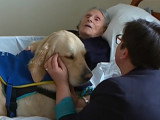 Un chien visiteur dans une maison de retraite
