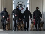 Les chiens policiers du RAID