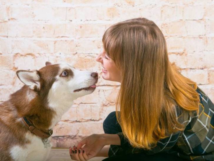 La détection du diabète par le chien