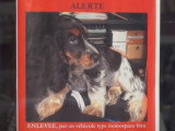 Les vols et trafics d'animaux en France