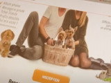 Un site de rencontre pour les propriétaires d'animaux