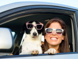 Vacances : emmener ou faire garder son chien ?