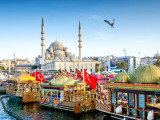 Voyager avec son chien en Turquie