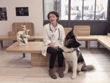 Le mal des transports chez les chiens