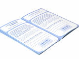 Carnet de santé, pedigree, passeport... : les papiers du chien