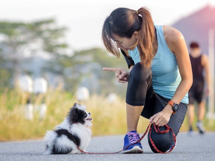 Punir son chien pour ses bêtises ou ses comportements inappropriés