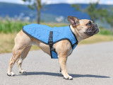 Le manteau rafraîchissant pour chien : choix, usage, conseils...