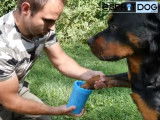 Test produit : le lave-pattes pour chien