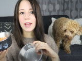 Les gamelles pour une Caniche Toy, Miette