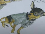 La passion des vêtements pour chien
