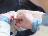 Prendre les mesures d'un chien pour lui fabriquer un habit