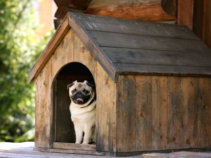 Un petit chien assis dans une niche en bois