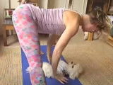 Le doga, ou yoga avec un chien