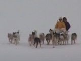 Traversée du Groenland en traîneau à chiens