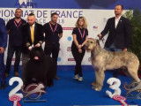 La remise des prix du championnat de France des chiens de race