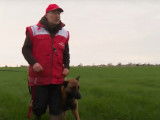 Pistage : la discipline qui valorise le flair du chien