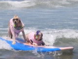 En Californie, les chiens aussi font du surf !