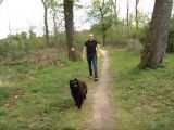 Quelques conseils pour bien jouer avec son chien
