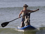 Le paddle, un sport amusant à pratiquer avec son chien en été