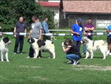 Exposition de Ciobanesc Romanesc de Bucovina