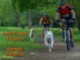 Victoire d'un Berger Blanc Suisse en caniVTT