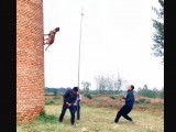 Un saut impressionnant de la part d'un Malinois
