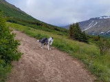 Une randonnée en compagnie d'un Texas Heeler