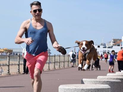 7 bonnes raisons de courir avec son chien