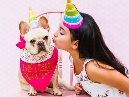 Une femme et son chiot fêtent leur anniversaire