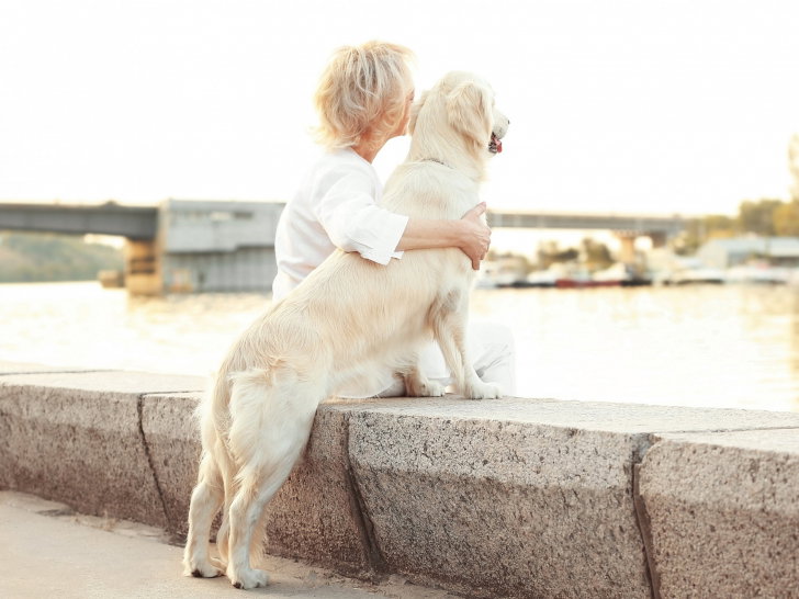 Adopter un vieux chien est un geste altruiste