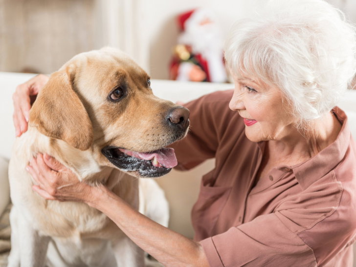 Adopter un vieux chien est moins engageant