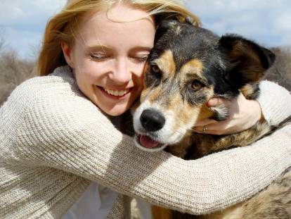 Animalerie, éleveur canin, refuge... : où adopter un chien ?