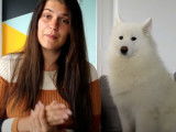 Les questions importantes à se poser avant d'adopter un chien