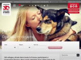 Adopter un vieux chien : l'opération Doyens de 30 Millions d'amis