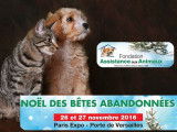 Un week-end d’adoption pour les chiens et les chats à Paris