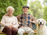 Un couple de seniors assis à côté de leur Golden Retriever