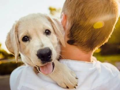 Un jeune garçon de dos tenant un chiot dans ses bras