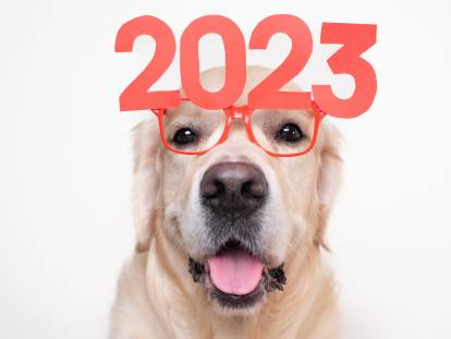 Image drôle d'un chien avec des lunettes rouges et l'année 2023