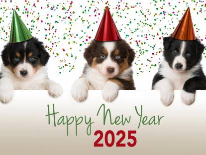 Image drôle de trois chiots qui fêtent la nouvelle année 2025