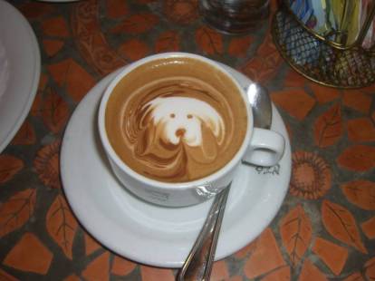 Une tasse de café avec une tête de chien dedans