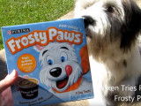 Un chien teste la glace pour chien Frosty Paws
