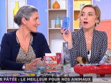 Que choisir pour son compagnon entre croquettes, pâtées et BARF ?