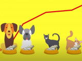 Que contiennent les aliments pour animaux ?