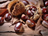 Des châtaignes et leurs bogues sur une table en bois