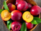 Un panier contenant des nectarines