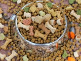 Différents types de friandises pour chien posés sur une table