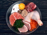 Des aliments BARF pour chien