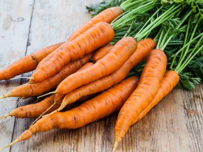 Une botte de carottes fraîchement sorties de terre
