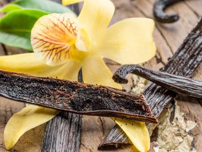 Des gousses de vanille et une fleur d'orchidée sur une table en bois